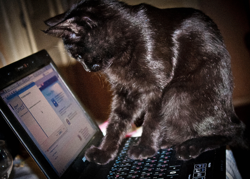 Labākās bezmaksas Microsoft Office alternatīvas 2019 gadā!